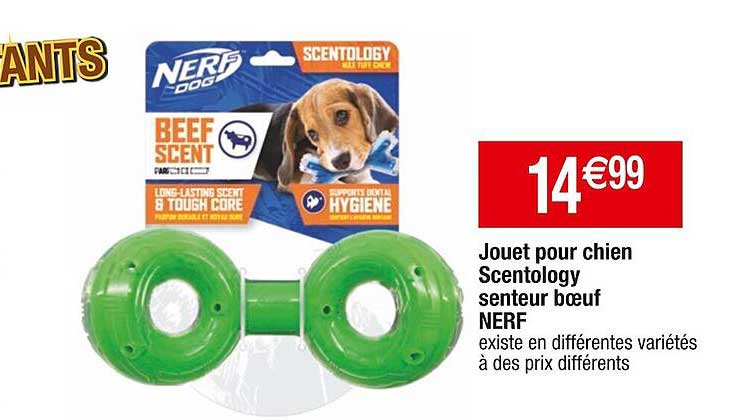 jouet pour chien scentology senteur bœuf nerf