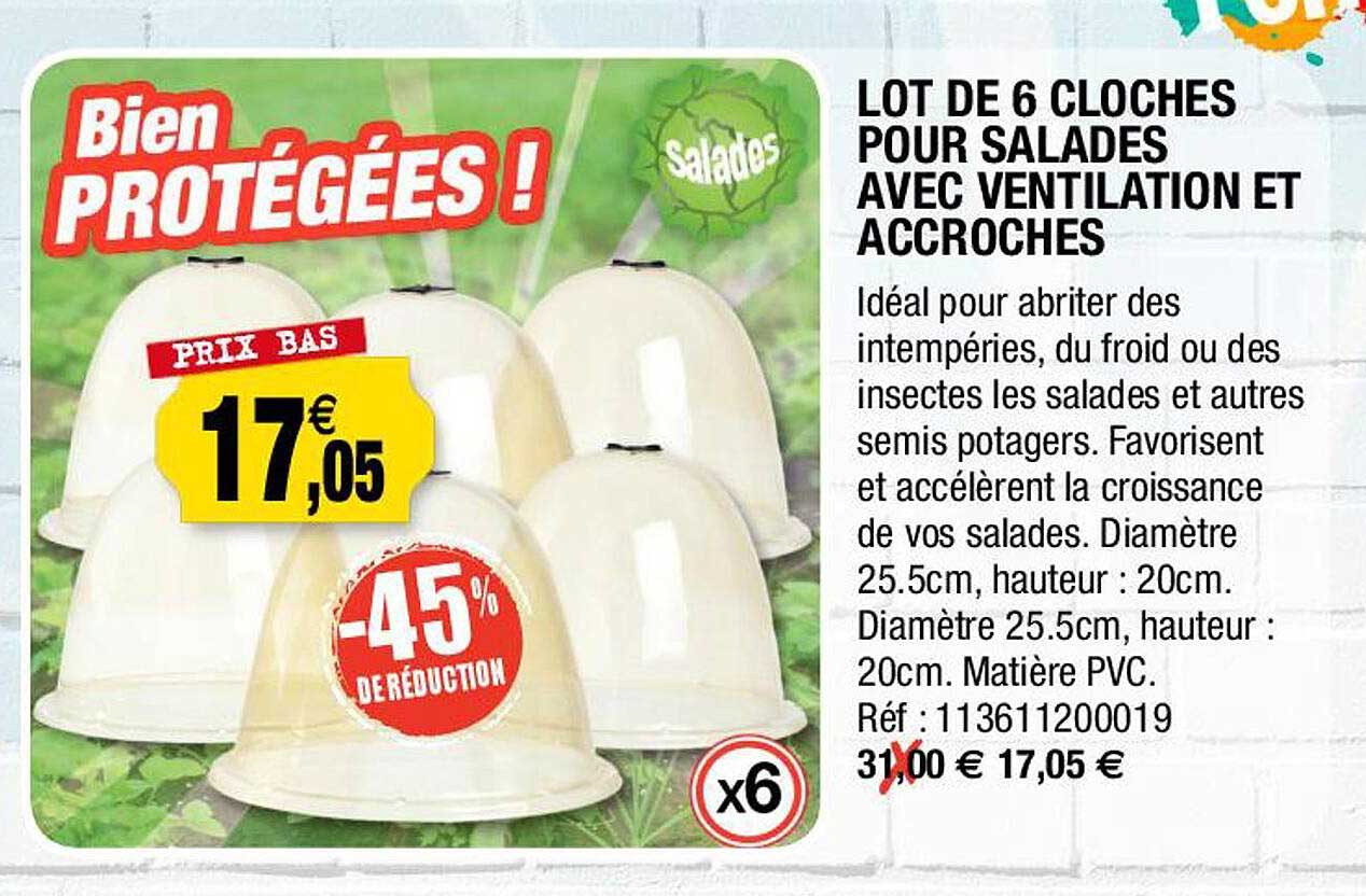 lot de 6 cloches pour salades avec ventilation et accroches