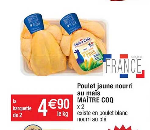 poulet jaune nourri au maïs maître coq