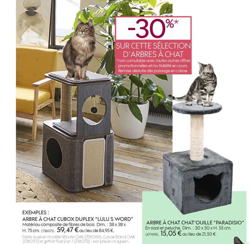 arbre à chat cubox duplex lulu s word arbre à chat chat'ouille paradiso