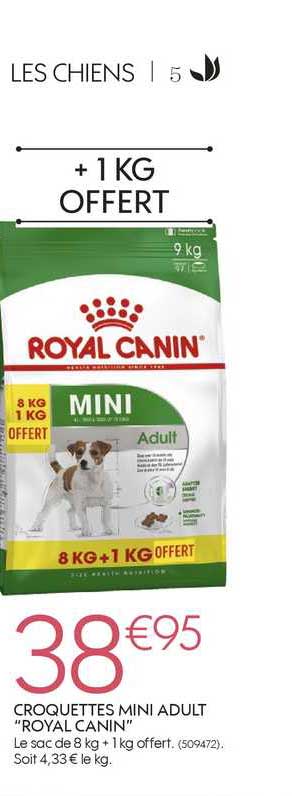 croquettes mini adult royal canin