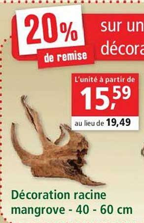 décoration racine mangrove 40 60 cm 20% de remise