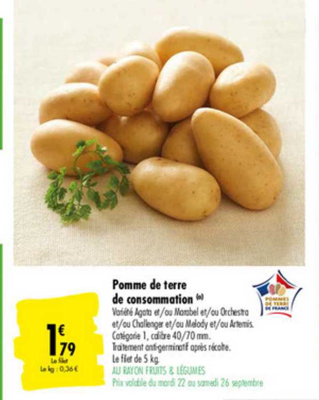Pomme De Terre De Consommation
