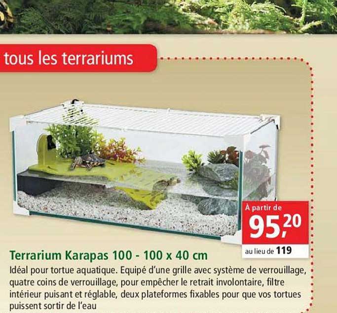Terrarium Karapas 100 100 X 40 Cm