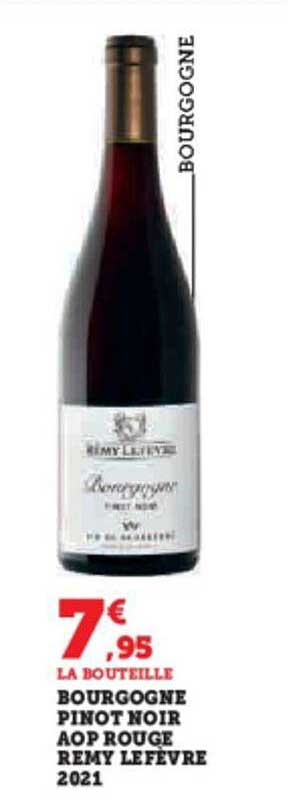 bourgogne pinot noir aop rouge remy lefèvre 2021
