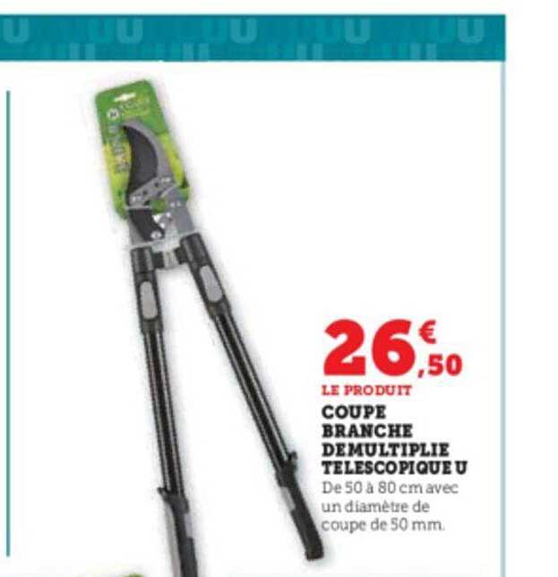 coupe branche démultiplie télescopique u