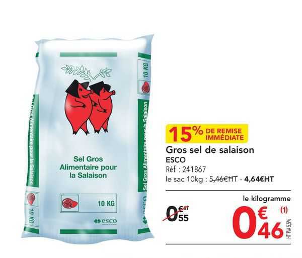 gros sel de salaison esco