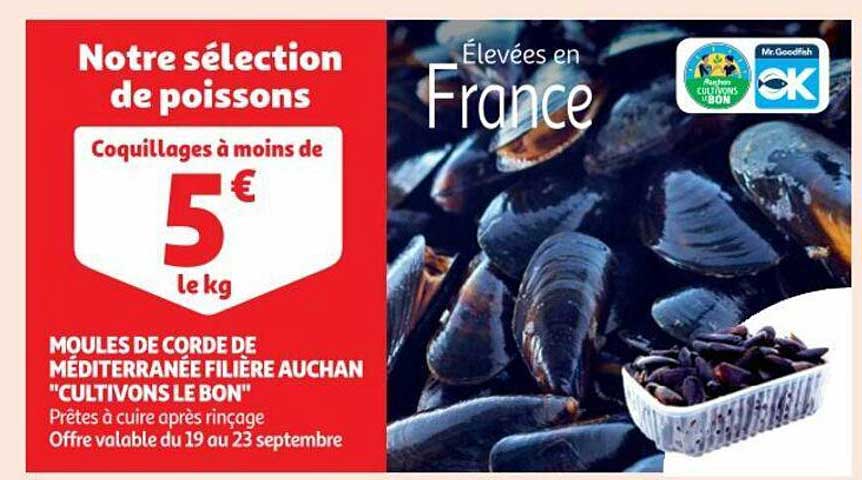 moules de corde de méditerranée filière auchan "cultivons le bon"