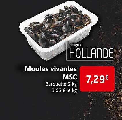 moules vivantes msc