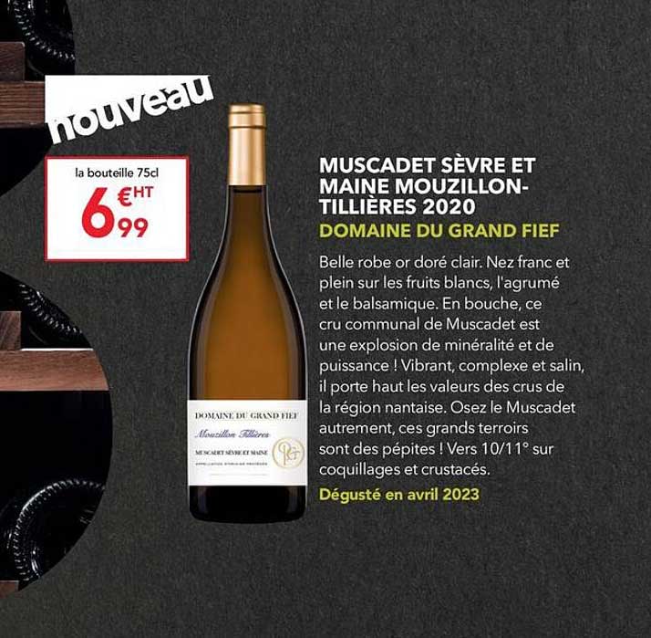 muscadet sèvre et maine mouzillon-tillières 2020 domaine du grand fief