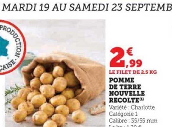 Pomme De Terre Nouvelle Récolte