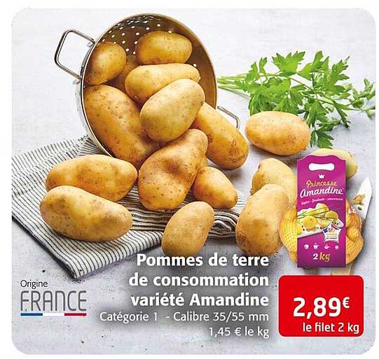 pommes de terre de consommation variété amandine