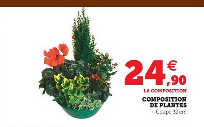 Composition De Plantes