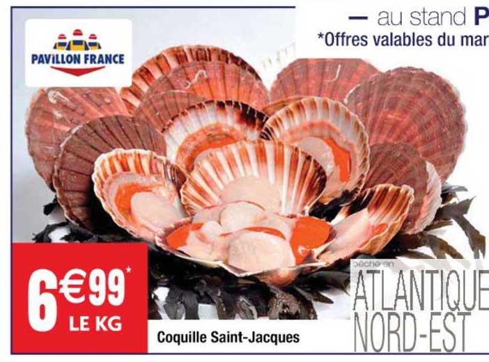 coquille saint-jacques