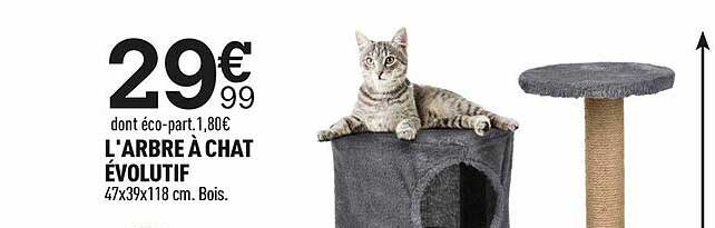 l'arbre à chat évolutif