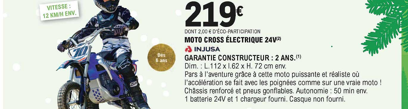 moto cross électrique 24v injusa