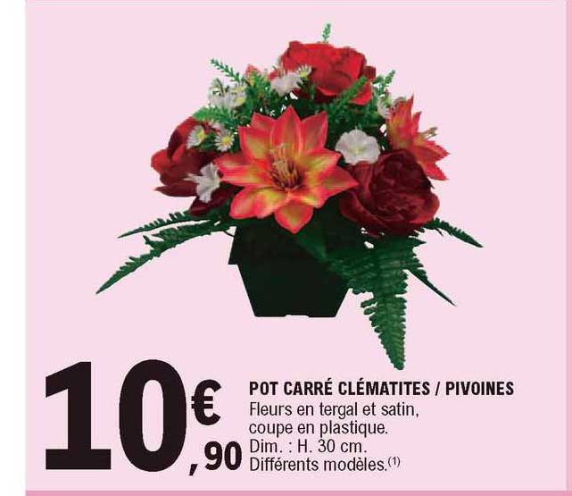 pot carré clématites - pivoines