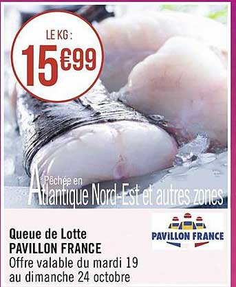 queue de lotte pavillon france