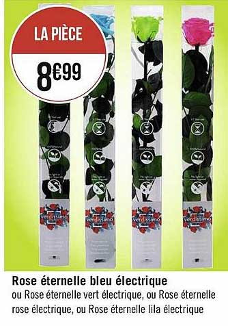 rose éternelle bleu électrique
