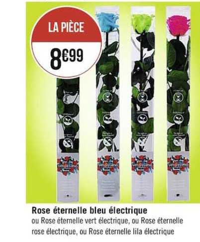 rose éternelle bleu électrique