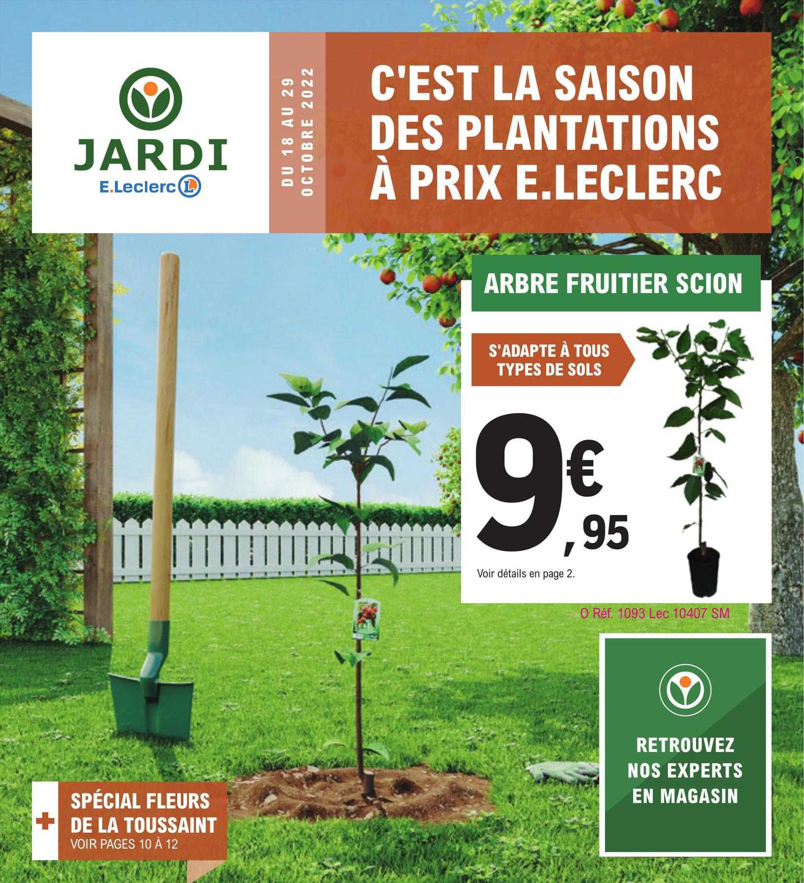 Arbre Fruitier Scion
