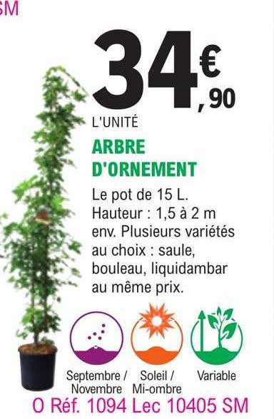 arbre d'ornement