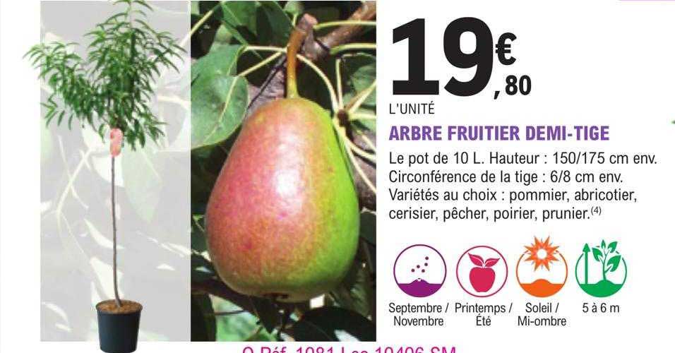 arbre fruitier demi-tige