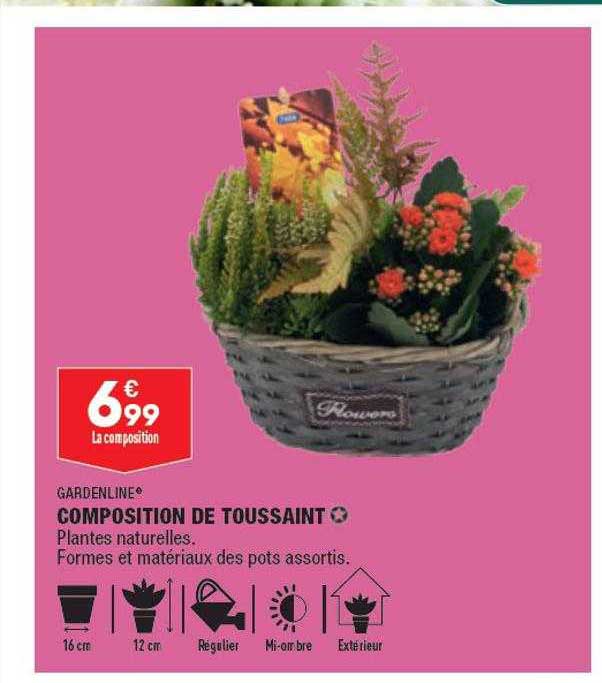 Composition De Toussaint Gardenline