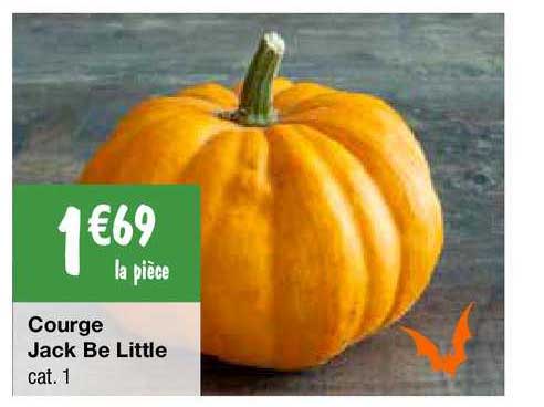 courge jack be little