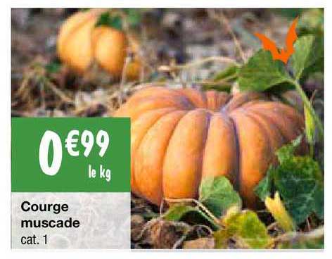 courge muscade
