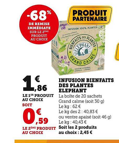 infusion bienfaits des plantes éléphant