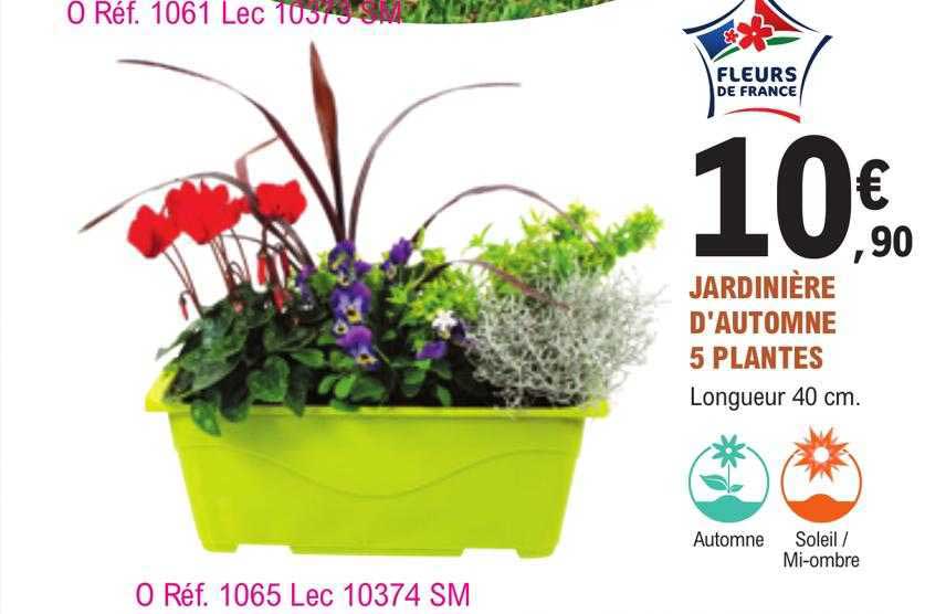 jardinière d'automne 5 plantes