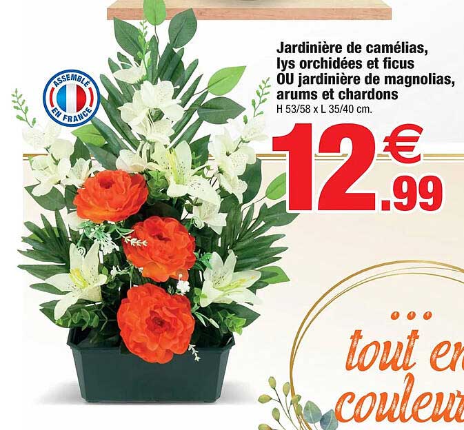 Jardinière De Camélias, Lys Orchidées Et Ficus Ou Jardinière De Magnolias, Arums Et Chardons