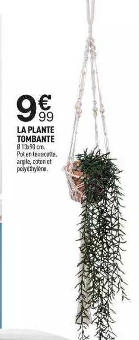 La Plante Tombante