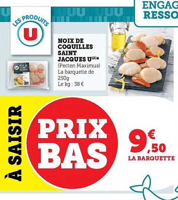 noix de coquilles saint jacques u