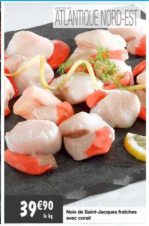 noix de saint-jacques fraîches avec corail