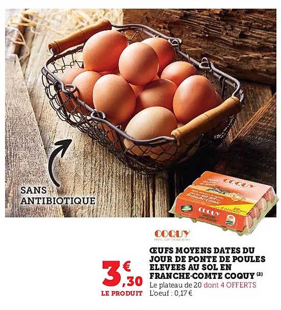 Oeufs Moyens Dates Du Jour De Ponte De Poules élevées Au Sol En Franche-comté Coquy