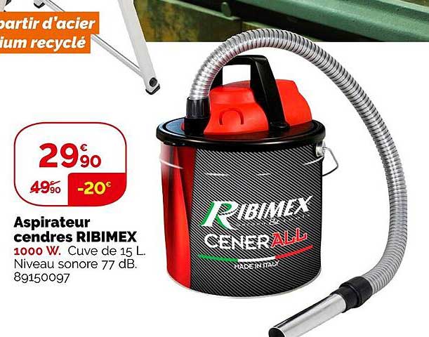 aspirateur cendres ribimex