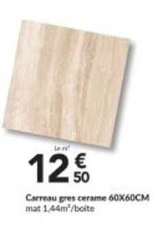 carreau grès cérame 60 x 60 cm