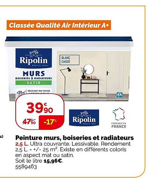 Peinture Murs, Boiseries Et Radiateurs