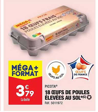 picota 18 œufs de poules élevées au sol
