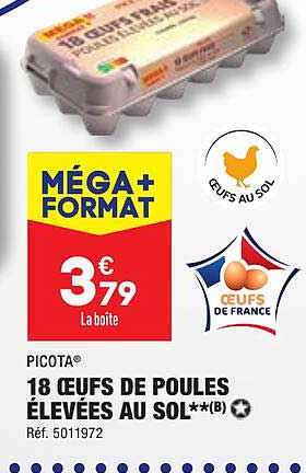 picota 18 œufs de poules élevées au sol