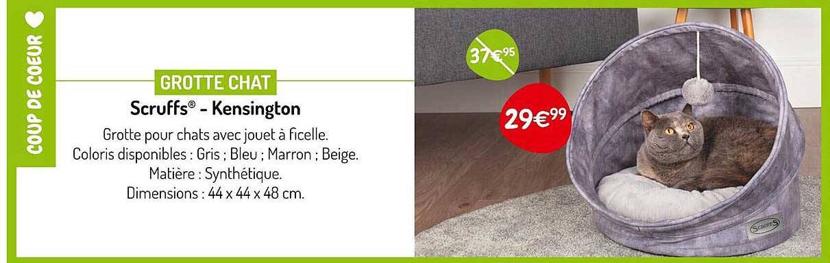 scruffs - kensington