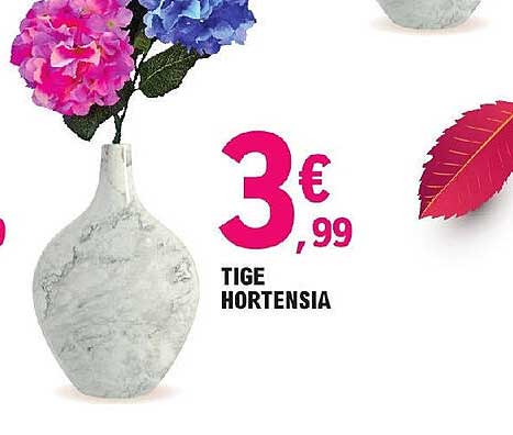 tige hortensia