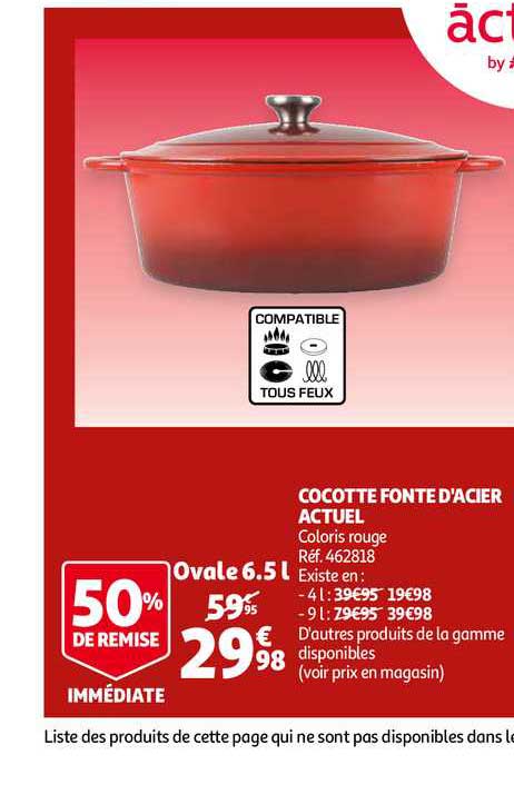 cocotte fonte d'acier actuel