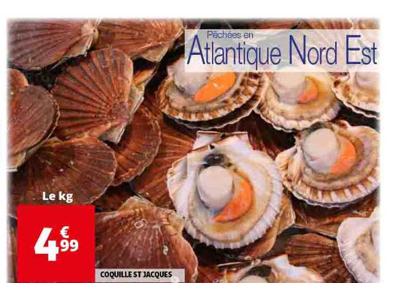 Coquille St Jacques