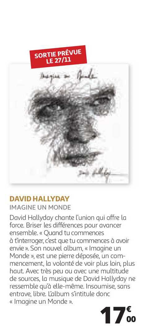 david hallyday