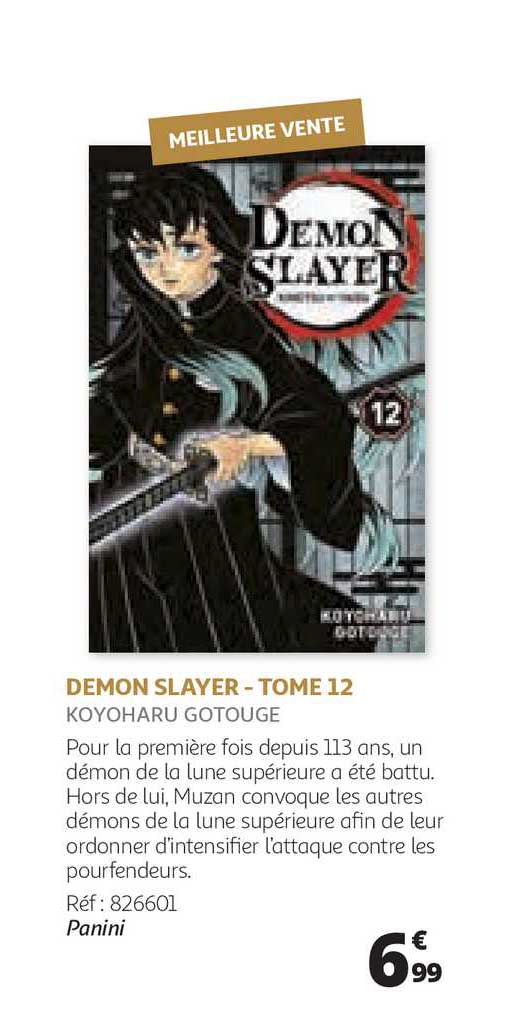 demon slayer - tome 12