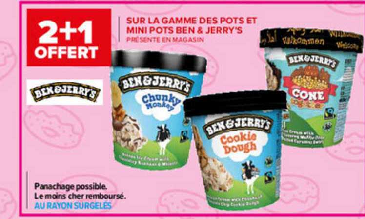 gamme des pots et mini pots ben & jerry's