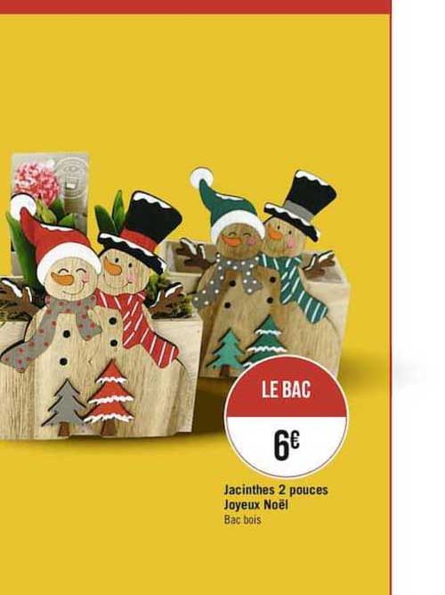 jacinthe 2 pouces joyeux noël